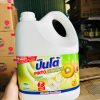 Nước rửa chén Pinto 3800ml Hương KIWI
